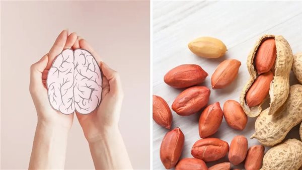 الفول السوداني 