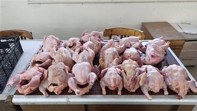 تموين أسيوط: تحرير 2215 محضرًا للمخابز البلدية والأسواق