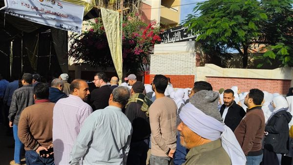 انتخابات مجلس النواب