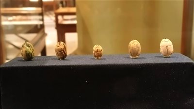 جعارين.. سحر الرموز المقدسة في معرض الملكة نفرتاري بالمتحف المصري بالتحرير | صور 