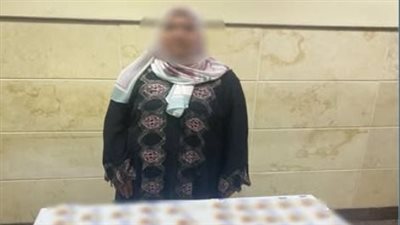 القبض على سيدة لاتهامها بتوجيه المواطنين للتصويت لصالح مرشح برلماني في البحيرة 