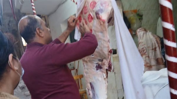 جانب من الحملة