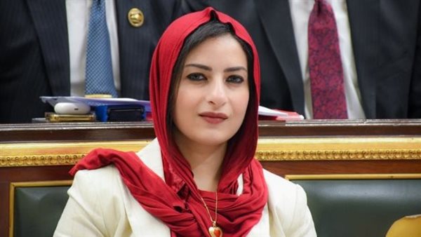 النائبة آيات الحداد