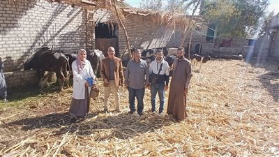 بيطري أسيوط: جهود ميدانية لدعم الحملة القومية الثالثة للتحصين وحماية الثروة الحيوانية من الأمراض الوبائية 