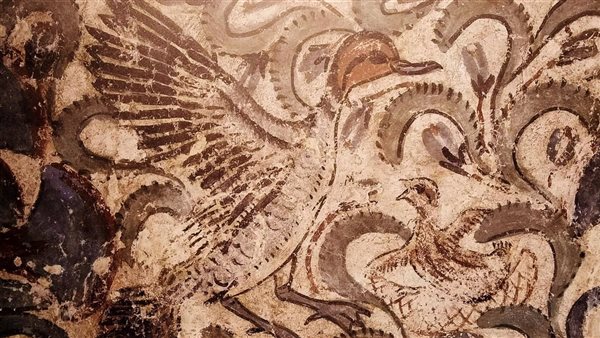 جزءًا نادرًا من سقف