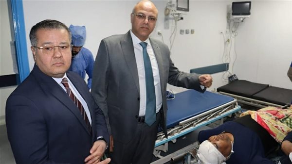 محافظ القليوبية يزور