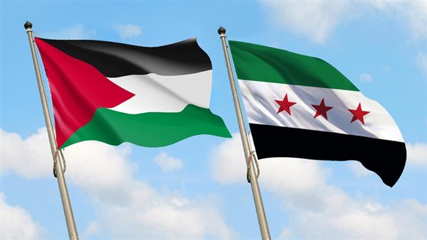 القنوات المجانية