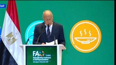 أحمد أبو الغيط: المنطقة العربية تواجه تحديات غير مسبوقة 