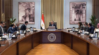 رئيس الوزراء يستعرض المخطط الهيكلي والرؤية التنموية لمنطقة غرب رأس الحكمة