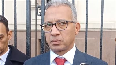 حاجز زجاجي لإخفاء هوية الضحايا.. محامي تلاميذ المدرسة الدولية بالإسكندرية يكشف تفاصيل أولى جلسات محاكمة الجنايني المتهم بالقضية