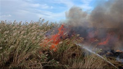 دون إصابات.. السيطرة على حريق بأرض فضاء بمنطقة العامرية بالإسكندرية