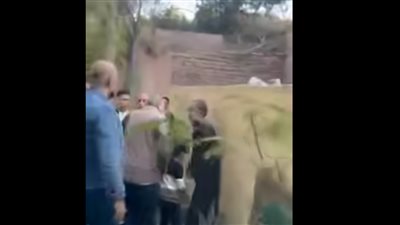 الداخلية تكشف ملابسات حدوث مشادة بين مجموعة أشخاص في القليوبية بسبب خلاف على مقبرة