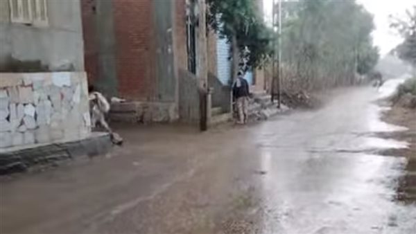 الأمطار في المنوفية
