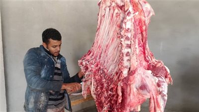 محافظ أسيوط يوجه بفتح منافذ اللحوم البلدية بالمراكز والقرى لضبط الأسواق 