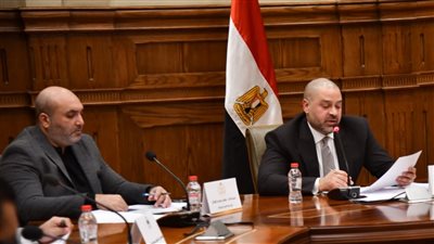 يناقشه مجلس الشيوخ.. ننشر نص تعديلات قانون المهن الرياضية| مستندات