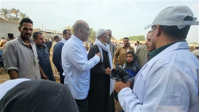 تحصين 151 ألف رأس ماشية ضد الحمى القلاعية والوادي المتصدع بالقليوبية