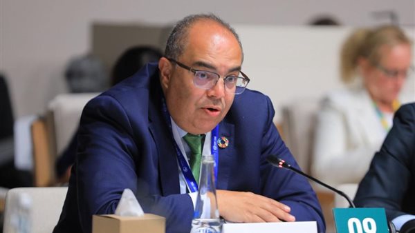 الدكتور محمود محيي