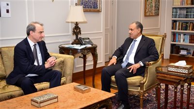 وزير الخارجية يبحث مع مدير سياسات اللجنة اليهودية الأمريكية الأوضاع في غزة
