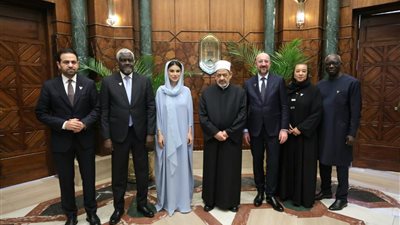 شيخ الأزهر لأعضاء لجنة تحكيم جائزة زايد للأخوَّة الإنسانية: مصر تُقدم للعالم نموذجًا فريدًا في التعايش 