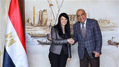 الكهرباء والتخطيط: 202 مليون يورو تمويلات ميسرة ومنح تنموية لا ترد لتعزيز شبكة الكهرباء بمصر