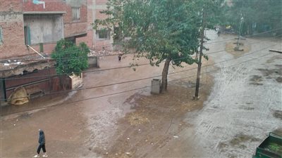 أمطار غزيرة تضرب القليوبية.. ورفع درجة الاستعداد بالمحافظة لمواجهتها