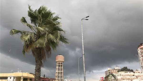 حالة الطقس في المنصورة