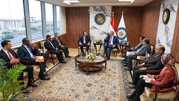 جانب من اللقاء 