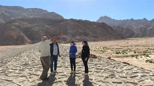 لجنة للمرور على مخرّات