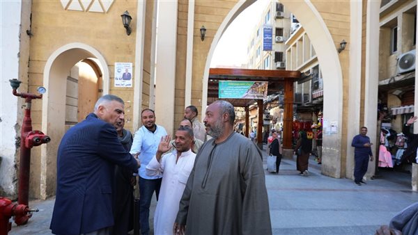 محافظ أسوان