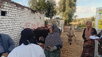 بحوث الصحراء يختم تنظيم القافلة البيطرية بمنطقة المغرة لخدمة صغار المربين بالمجان