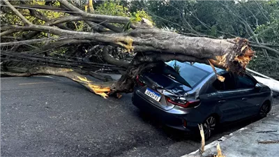إلغاء مئات الرحلات الجوية.. 1.4 مليون برازيلي يتضررون بعد انقطاع الكهرباء في ساو باولو