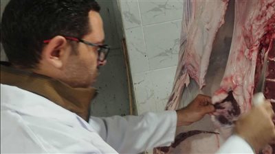 بيطري أسيوط: فحوصات دقيقة على الذبائح بالمجازر للتأكد من خلوها من الأمراض 