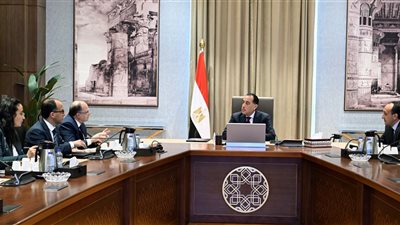 رئيس الوزراء يلتقي رئيس هيئة الدواء لاستعراض مشروع التتبع الدوائي الوطني