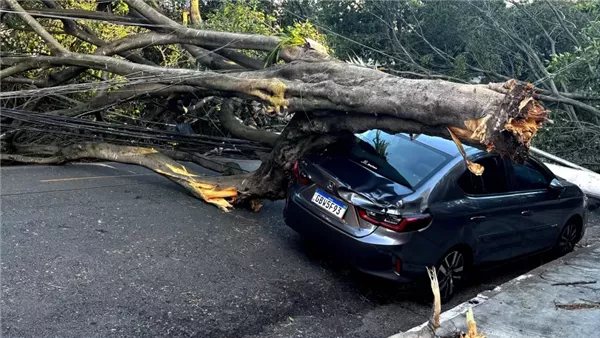  ساو باولو بالبرازيل