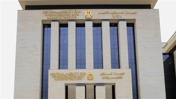 التنظيم والإدارة