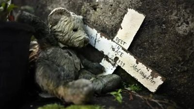 جريمة تهز أيرلندا.. العثور على مقبرة جماعية لمئات الرضع المتوفين منذ القرن الماضي