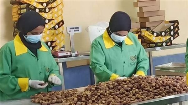 وحدة تصنيع التمور