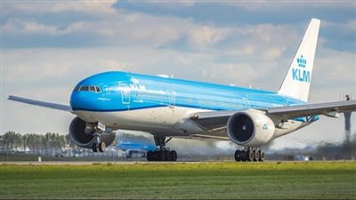 أثار الذعر بين الركاب.. إلغاء رحلة طيران هولندية بعد تسلل فأر إلى داخلها