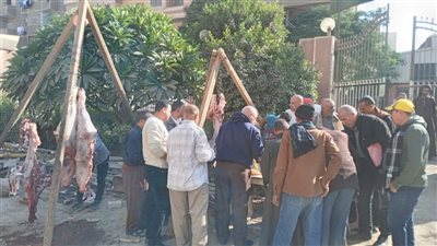 الوحدة المحلية لمركز ومدينة القوصية تطرح لحومًا طازجة بسعر 290 جنيهًا للكيلو