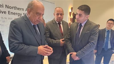 وزير الكهرباء: شبكات ذكية وتقنيات متقدمة لدعم دمج الطاقة المتجددة وضمان أمن الطاقة
