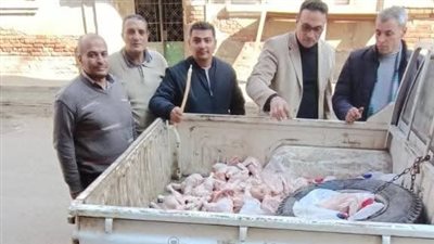 ضبط 125 كجم دواجن محقونة بالمياه في حملة الطب البيطري بالمنوفية