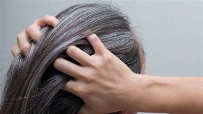  4 عوامل وراء الشيب المبكر.. تعرف على نصائح لإبطائه