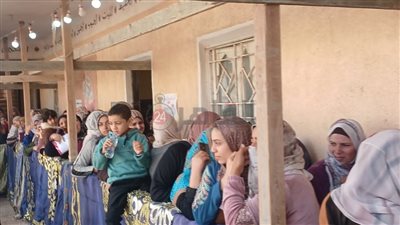 ضبط سيدة بحوزتها 22 بطاقة رقم قومي أمام لجنة انتخابية بالمحلة