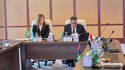 تعاني من تدمير نظامها الصحي.. عبد الغفار يؤكد أهمية استمرار الدعم العربي لفلسطين