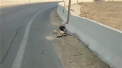 تم إعادة فتح الطريق.. الداخلية تكشف ملابسات حدوث هبوط أرضي لأسفلت ملاصق لسور كوبري بالقاهرة