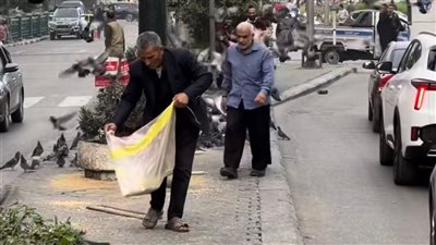 بملابس بسيطة وقلب كبير.. مسن في وسط البلد يتصدر التريند بسبب إطعام الطيور |فيديو 
