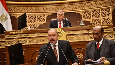 النائب أحمد دياب يستعرض تقرير تعديل قانون نقابة المهن الرياضية