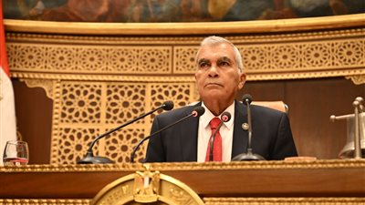 مجلس الشيوخ يوافق مبدئيا على تعديل قانون نقابة المهن الرياضية