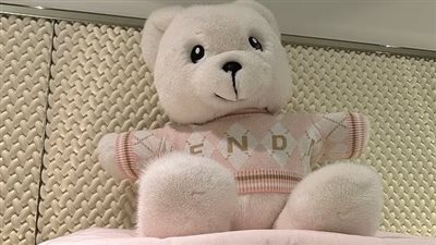 مصنوعة من حيوانات حقيقية | دمية دب بـ 4200 جنيه إسترليني تشعل جدلًا عالميًا.. ما القصة؟ 