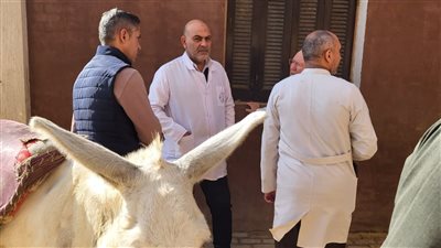 بيطري القليوبية ينفذ قافلة بيطرية مجانية بقرية نوى لخدمة المربين والحفاظ على الثروة الحيوانية